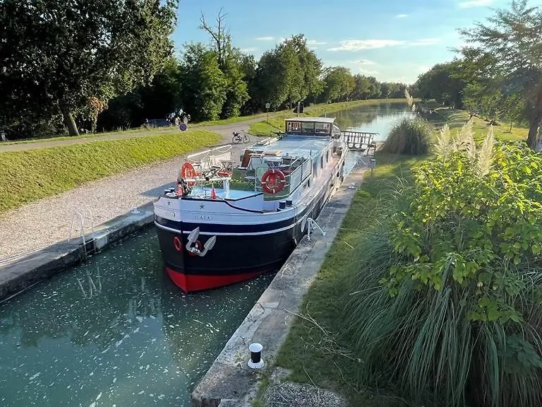 La Villa Diane, Maison D'Hotes, Bed And Breakfast Montauban France